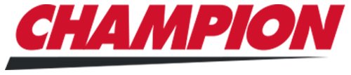 Champion Valve Set with Gaskets
